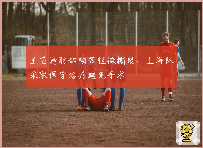 王艺迪肘部韧带轻微撕裂，上海队采取保守治疗避免手术