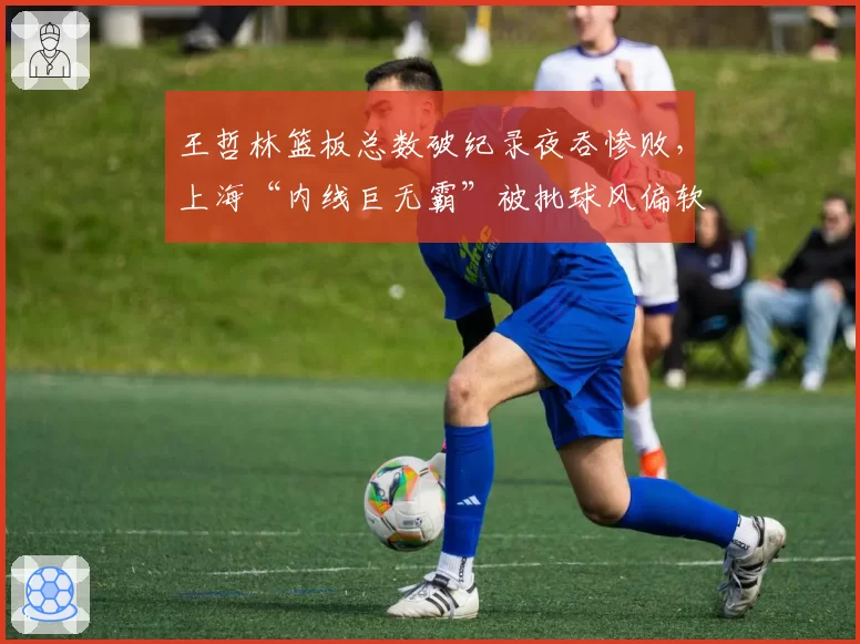 王哲林篮板总数破纪录夜吞惨败，上海“内线巨无霸”被批球风偏软