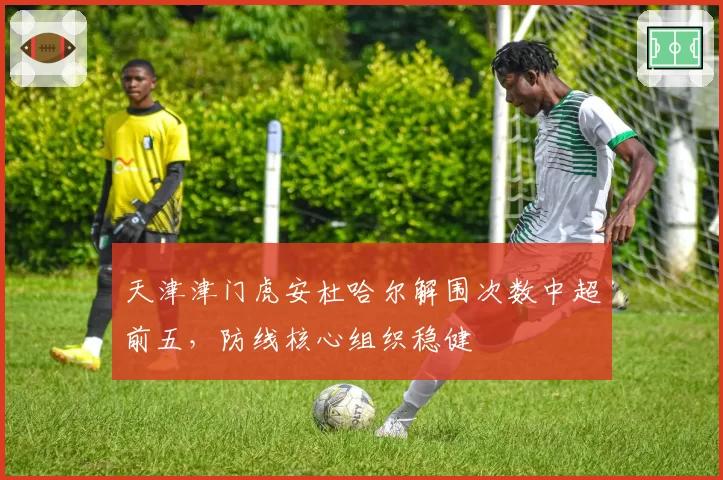 天津津门虎安杜哈尔解围次数中超前五，防线核心组织稳健
