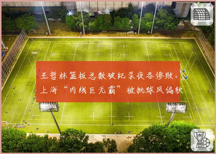 王哲林篮板总数破纪录夜吞惨败，上海“内线巨无霸”被批球风偏软